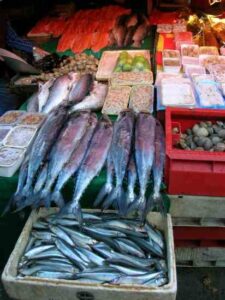 UtneCast: A Guide to Ethical, Sustainable Seafood Image